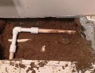 夏津测漏水哪家好