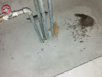 夏津卫生间测漏水价格明细