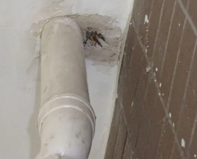 夏津漏水检测哪家好